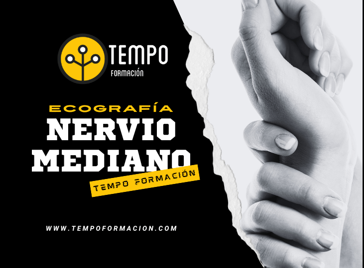 nervio-mediano-y-ecografia